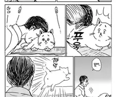 아버지 : 고양이? 흥! 절대로 정은 주지 않을 것이다
