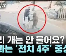 개 키우는 사람들이 반드시 알아야만 하는것