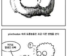 어떤 남자들은 가끔 여장을 한다