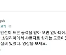 양이 물에 빠지면?