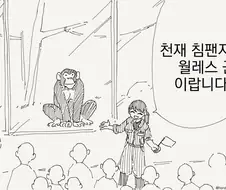 천재 침팬지 월레스군.manhwa
