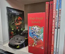 레이어스 만화판 세트 나온거 정말 다행임