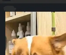 의외로 결혼을 망설이는 이유