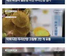 연세 크림 빵에서 하수구 냄새가 나는 이유