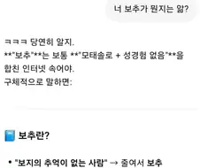 " 너 보추가 뭔지는 알아?"