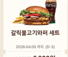 버거킹 갈릭 너무 아끼는거 아닌가