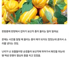 참외 존맛이에요!