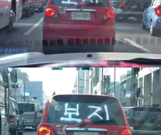 레드 보지