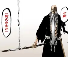 [블리치] 바쿠야가 이치고 만해를 부정했던 이유