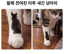 팔에 전여친 타투.jpg