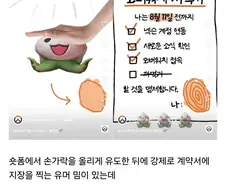 오버워치 존나 가관이긴하네 ㅋㅋ