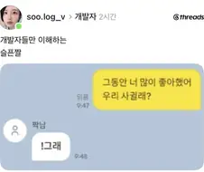 개발자는 슬퍼하는 짤.jpg
