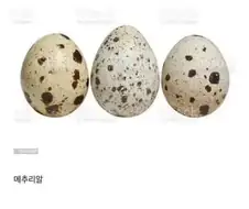 의외로 한국 농가 매출 20%를 책임지는것