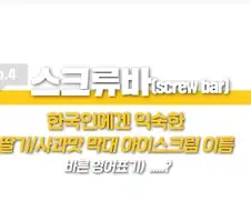 스크류바 라는 단어를 들어본 미국인들 반응