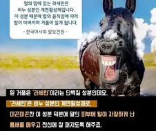 말딸) 19금 2차 창작이 막히지 않았으면 무조건 나왔을것 같은 설정