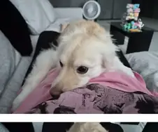 난 퇴근하면 무조건 행복해지는 비결이 있어.