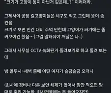 회사 마당에 매일 똥이 놓여있던 이야기