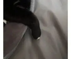 쏘카 하루만에 강퇴 당한 사람.jpg