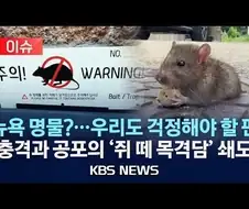 의외로 국내 문제 심각한데 언급 적은 것 중에 하나
