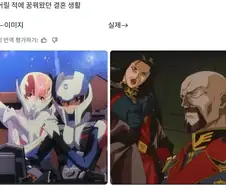 꿈꾸던 결혼생활 이미지와 실제