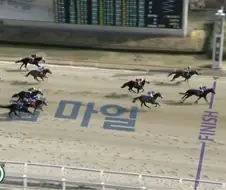 경마) 방금 열린 KRA컵 클래식(한국판 사츠키상) 상황