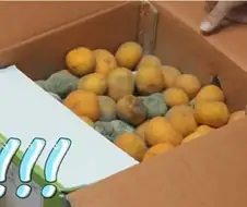 (기안84) 담금주 대참사.JPG