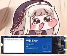 이게 그 유행하는 도로롱의 그래픽카드 맞지?