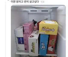 재력 자랑한 글에 달린 댓글.jpg