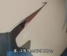 [ㅎㅂ]애니속 엑스칼리버