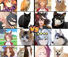 [말딸] 개딸 vs 고양이딸
