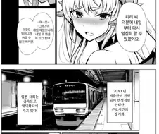 열도의 흔한 서큐버스 만화류 甲