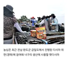 다시마계의 큰손.jpg