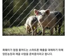 귀농에 도전중인 화웨이.jpg
