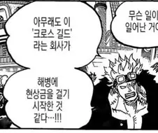 원피스) 크로스 길드 합리적 의심.manga