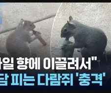 의외로 길빵하는 생물.jpg