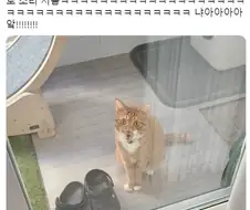 "네가… 네가 나한테 이럴 수 있단 말이냐아아아!!!"