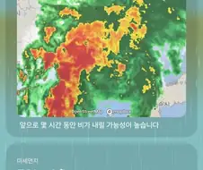 비가 풍족하게 내리는데