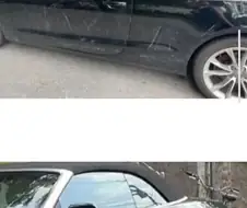 미친이야기 같지만 칠면조가 범인 입니다.jpg