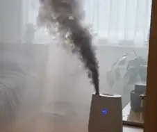 훅임자 가루가 좋다고