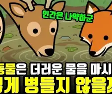 인간이 나약한 동물인 이유