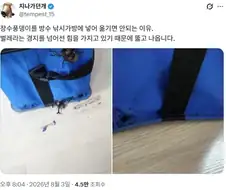 장수풍뎅이를 방수 낚시가방에 넣어 옯기면 안되는 이유