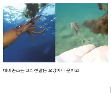 원피스)앵무새가 그러면 데비존스는 ㅋㅋㅋㅋㅋ