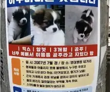 17년 전 만난 아주머니를 찾는 이유
