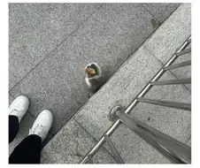 일본에서 성행한다는 분양사기