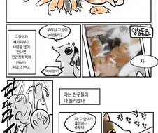 임신한 고양이를 주워왔더니 새끼를 낳은 만화