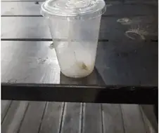 야간 편돌이를 괴롭히면 안되는 이유