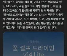 테슬라 FSD V14 라이트 국내 출시