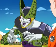 드래곤볼, 유희왕) 완전체 셀의 영문명은 퍼펙트 셀이다.