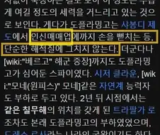 원피스)10년전 도황..wiki