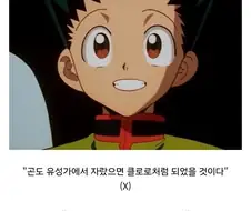 헌터헌터) 팬들사이에서 주인공 취급